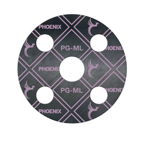 PG-ML